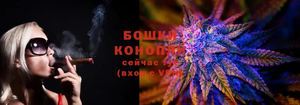 эйфоретик Белокуриха