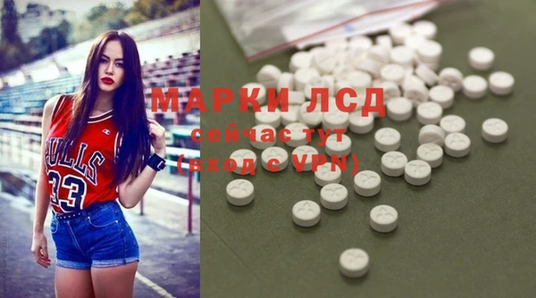 эйфоретик Белокуриха